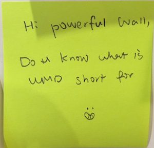 Hi powerful Wall, Do u know what is WMD short for :)