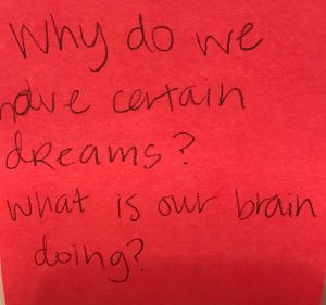 Why do we have certain dreams? What is our brain doing?