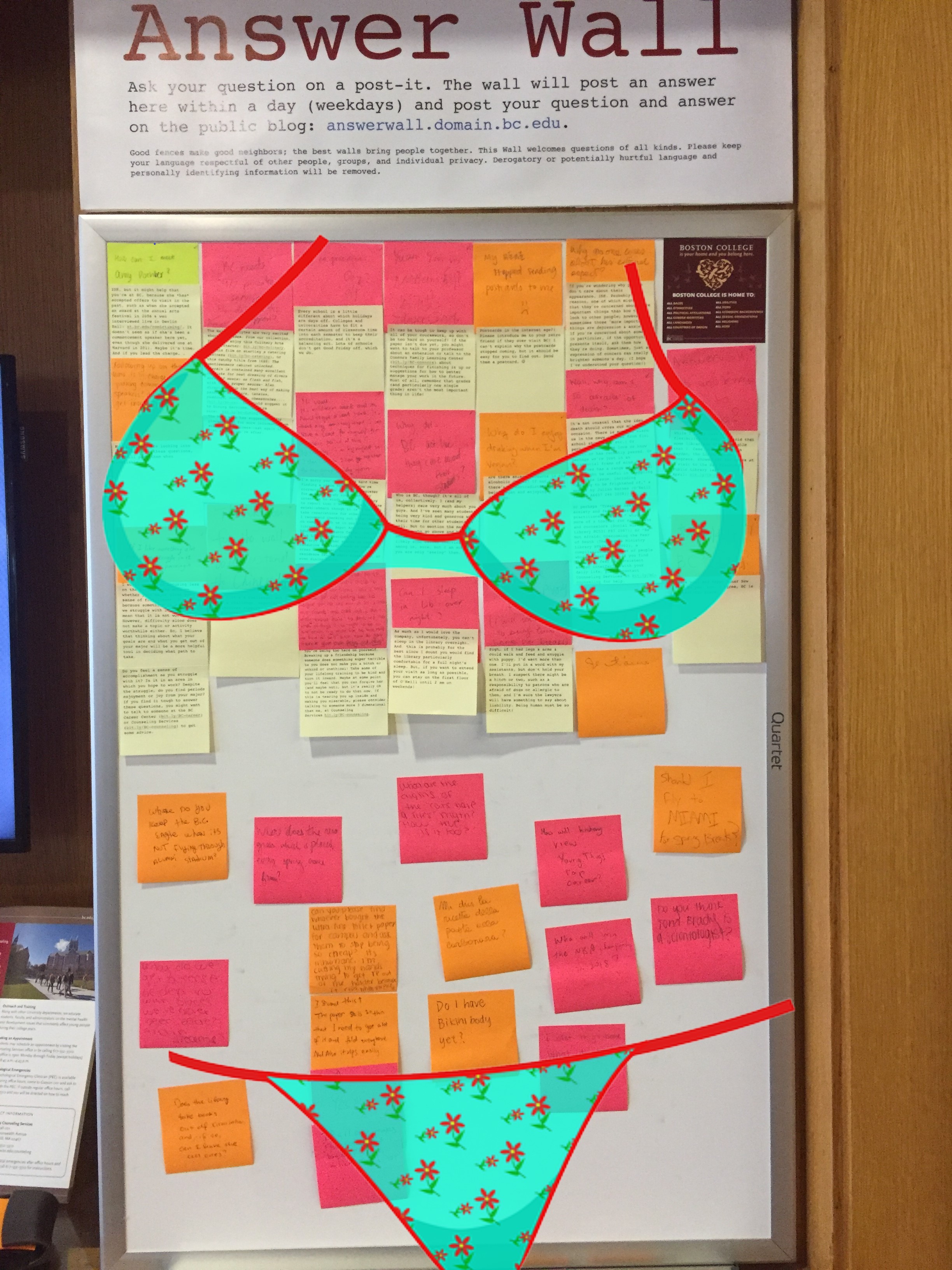 Body Image The Answer Wall