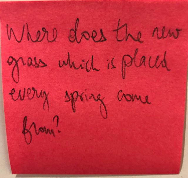 where-does-the-new-grass-which-is-placed-every-spring-come-from-the