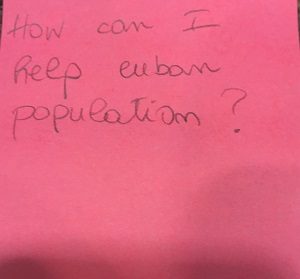 How can I help cuban population?