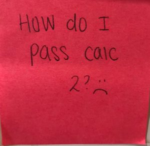 How do I pass calc 2? :(