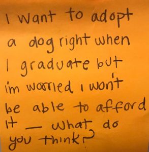 I want to adopt a dog right when I graduate but I'm worried I won't be able to afford it- What do you think?