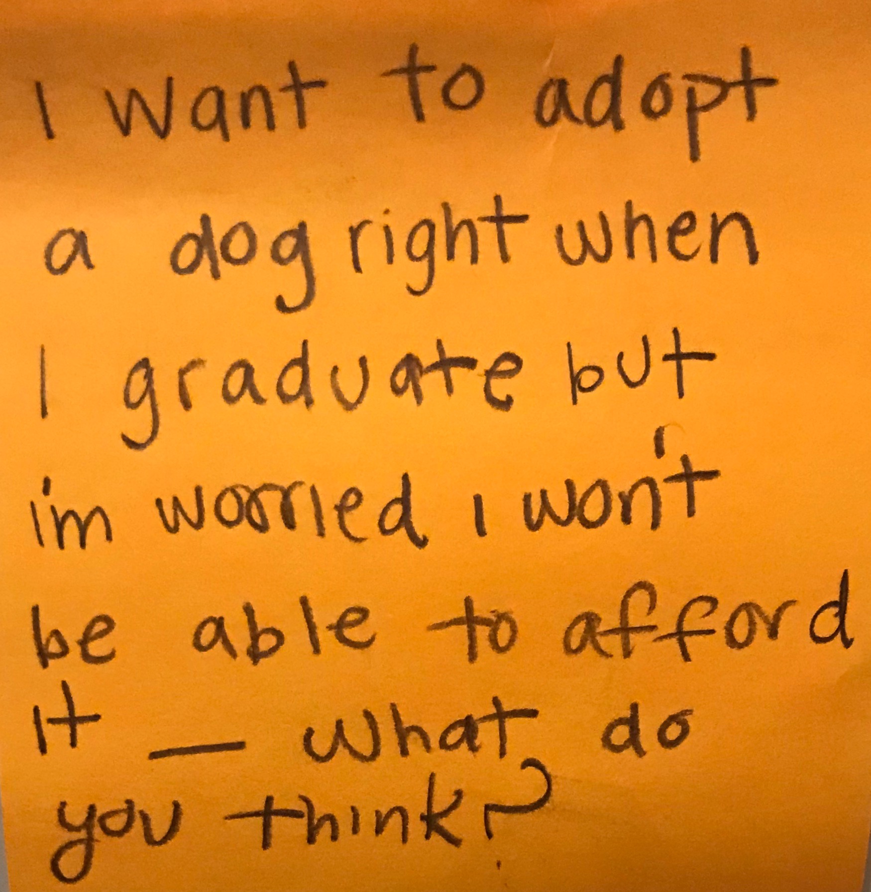 i-want-to-adopt-a-dog-right-when-i-graduate-but-i-m-worried-i-won-t-be