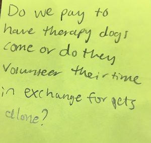 Do we pay to have therapy dogs come or do they volunteer their time in exchange for pets alone?