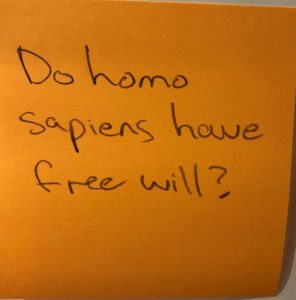 Do homo sapiens have free will?