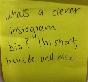 Whats a clever Instagram bio? I'm short, brunette, and nice.
