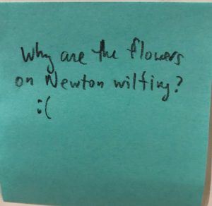 Why are all the flowers on Newton wilting? :(