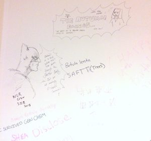 Express Yo'self Wall at Brandeis: several cartoon figures, including Batman. Illegible text.