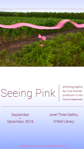 Seeing Pink   exhibit poster