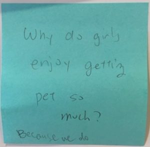 Why do girls enjoy getting pet so much? [Response: Because we do]