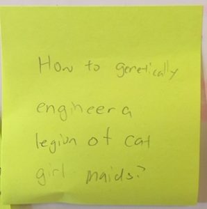 How to genetically engineer a legion of cat girl maids?
