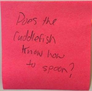 Does the cuddlefish know how to spoon?