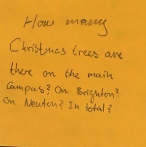 How many Christmas trees are there on the main Campus? On Brighton? On Newton? In total?