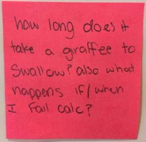 how long does it take a giraffee (sic) to swallow? also what happens if/when I fail calc?