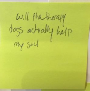 Will the therapy dogs actually help my soul