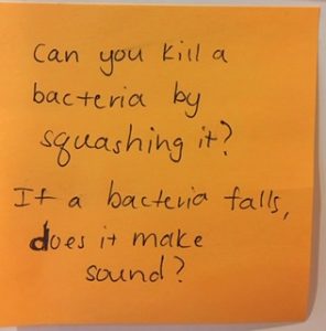 Can you kill a bacteria by squashing it? If a bacteria falls, does it make a sound?