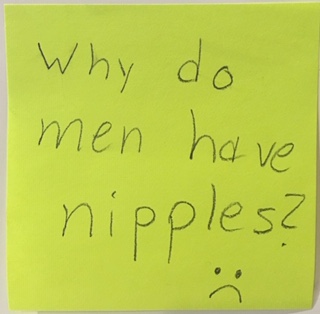 Why do men have nipples? :(