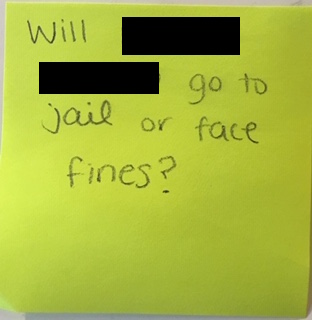 Will _____ ______ go to jail or face fines?
