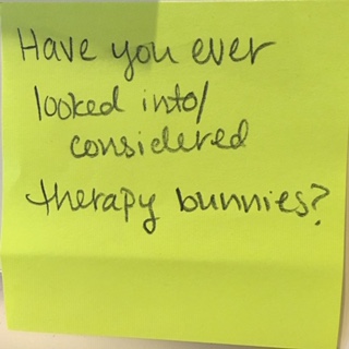 Have you ever looked into/considered therapy bunnies?