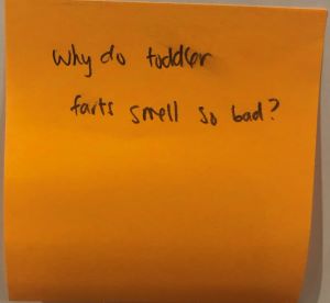 Why do toddler farts smell so bad?