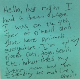 Hello, last night I had a dream where I was on the 4th floor of O'Neill and there were animals everywhere. I'm talking about cats, dogs, seals, etc. What does my dream mean and am I spending too much time in O'Neill?
