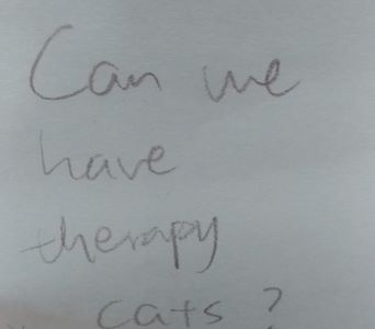 Can we have therapy cats?