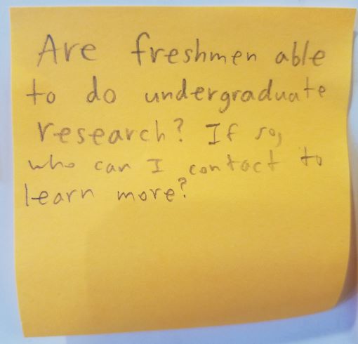 Are freshmen able to do undergraduate research? If so, who can I contact to learn more?