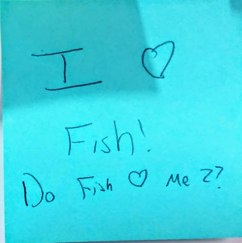 I <3 fish! Do Fish <3 me?