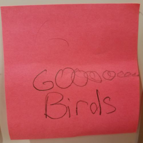 GOOOOOOO Birds