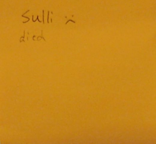 Sulli died (sad face)