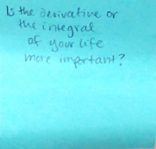 Is the derivative or the integral of your life more important?