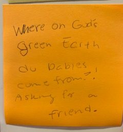 Where on Gods green Earth do babies come from?! Asking for a friend.