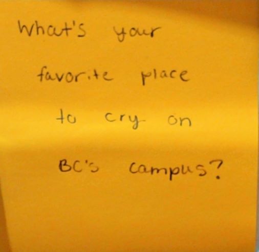 What's your favorite place to cry on BC's campus?