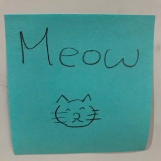 Meow (drawing of a cat)