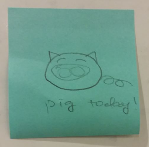 pig today!