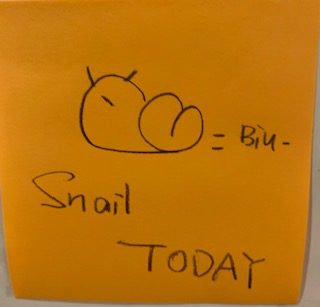 Snail today (Drawing of a snail)