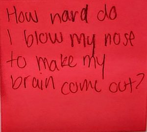 How do I blow my nose to make my brain come out? – The Answer Wall