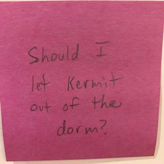 Should I let Kermit out of the dorm?