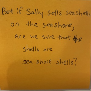 Sell seashells, even on the seashore, and surely breach the law - ABC listen