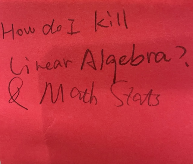 How do I kill Linear Algebra & math Stats?
