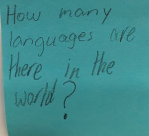 How many languages are there in the world?