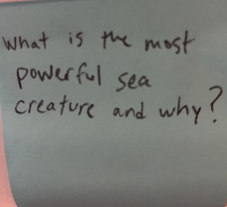 What is the most powerful sea creature and why?