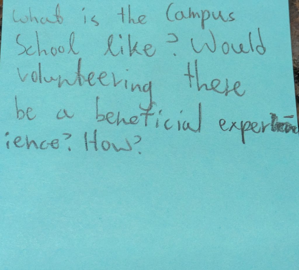 What is the campus school like? Would volunteering there be a beneficial experience? How?