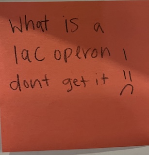 What is a lac operon I don't get it :(