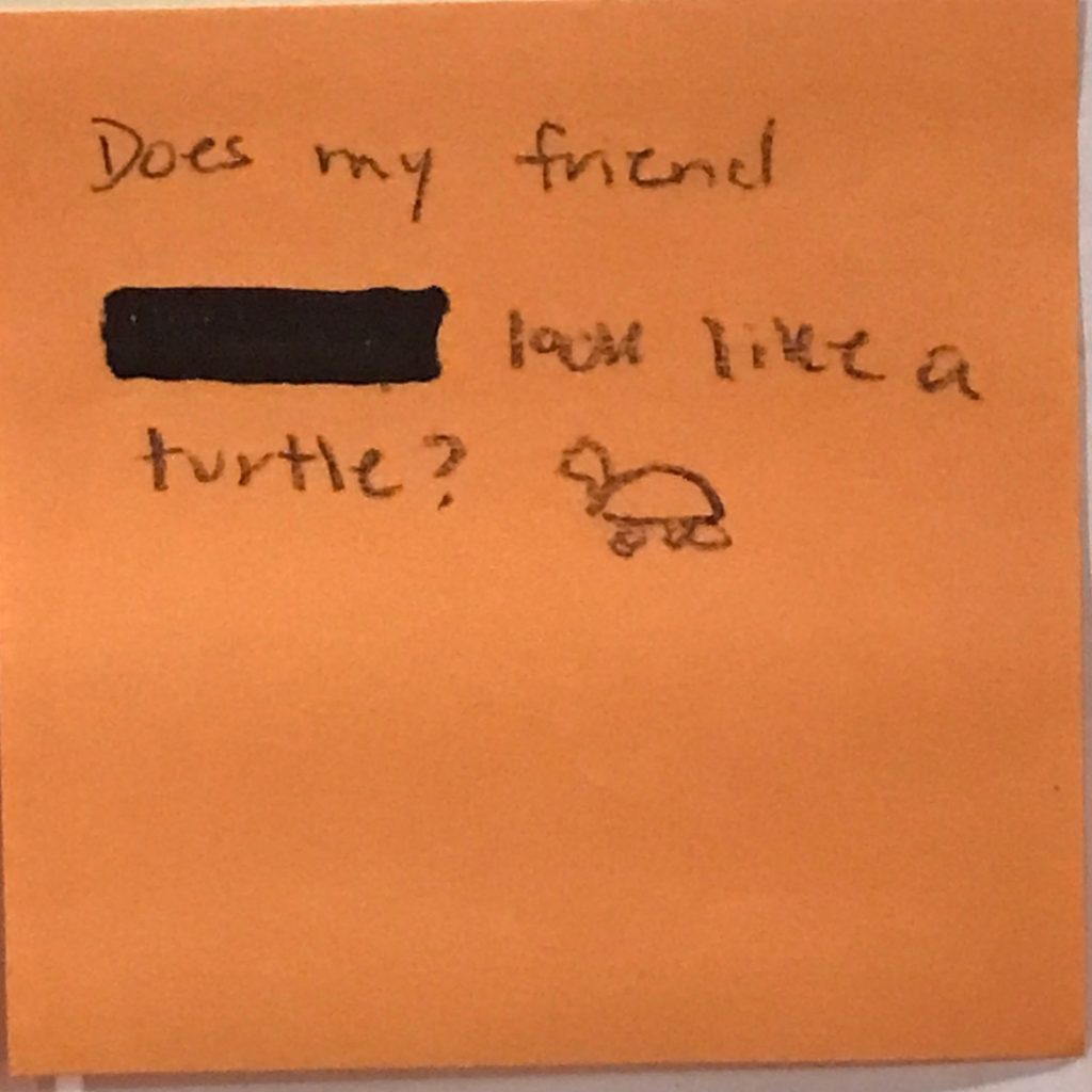 Does my friend [redacted] look like a turtle? [drawing of turtle]