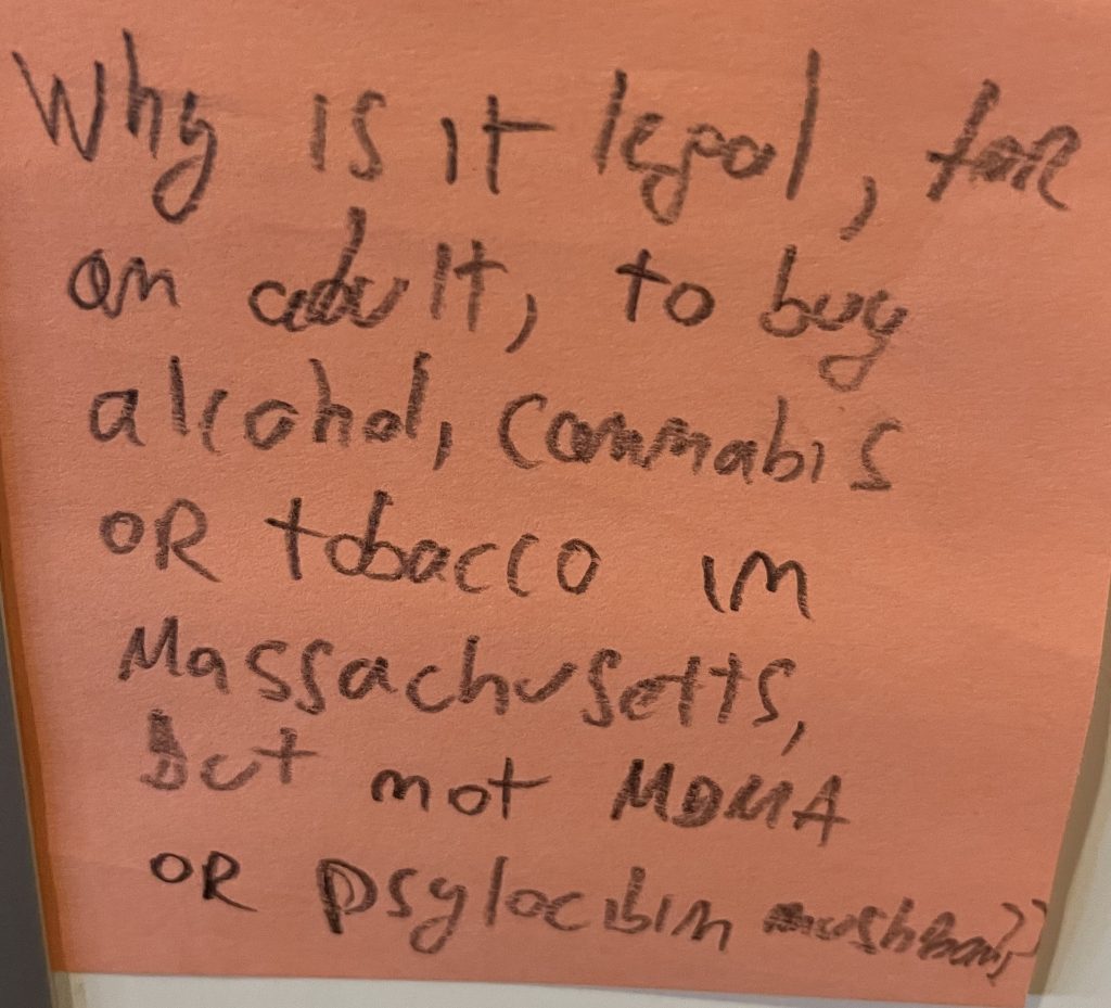 Why is it legal, for an adult, to buy alcohol, cannabis or tobacco in Massachusetts but not Moma or psilocybin mushrooms??