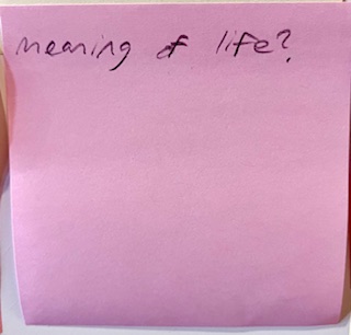 meaning of life?