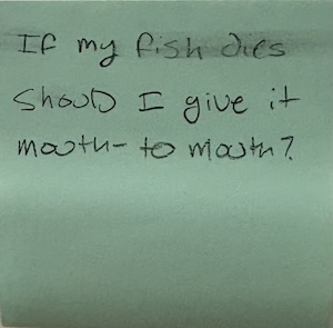 If my fish dies should I give it mouth to mouth?