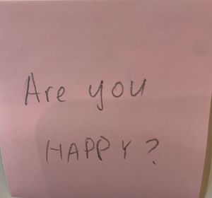 Are you happy?